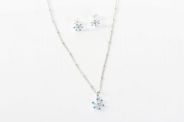 Conjunto copo de nieve
